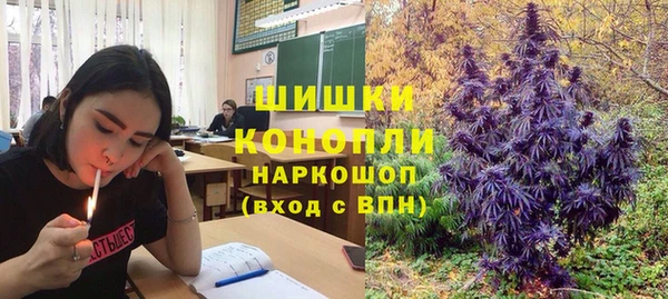 ешки Гусь-Хрустальный
