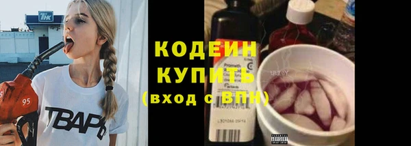 ешки Гусь-Хрустальный