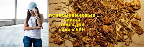 ешки Гусь-Хрустальный