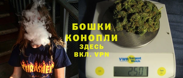 ПСИЛОЦИБИНОВЫЕ ГРИБЫ Гусиноозёрск