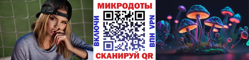 купить наркотики цена  Евпатория  Псилоцибиновые грибы Psilocybe 